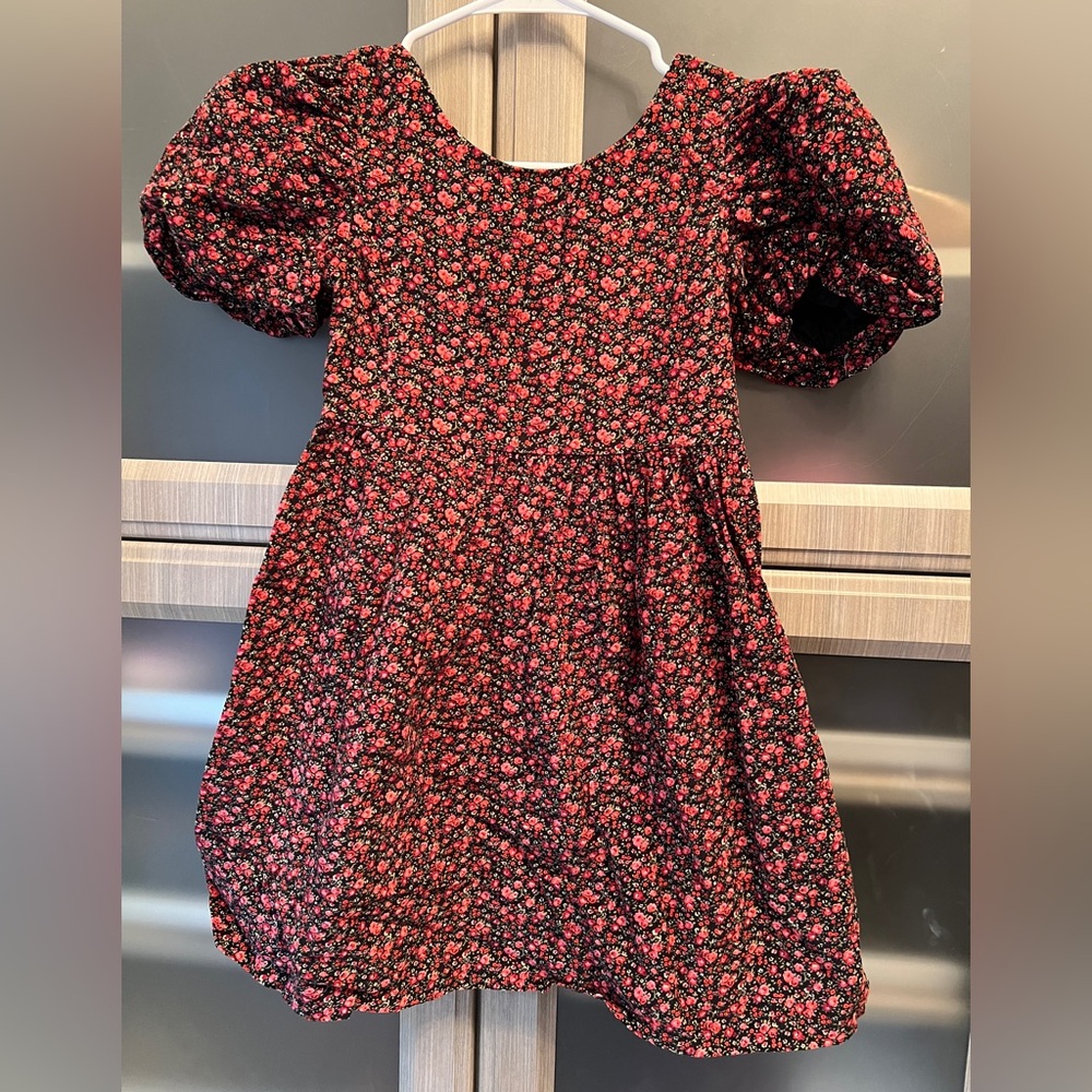 GAP Black and Red Floral Kids Dress